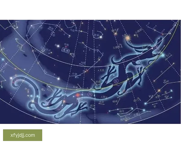 以91白虎为核心的都市文化现象与网络讨论新趋势解析全景观察